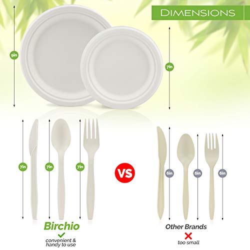 250 Stück biologisch abbaubares Papierplattenset