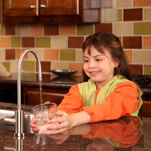 WaterChef® U9000 Premium Unterspülwasser-Filtrationssystem (gebürsteter Nickelhahn)