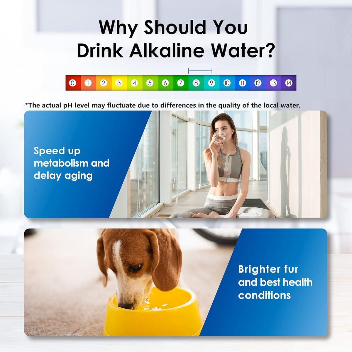 Wassertropfen alkalische Wasserfilter Dispenser