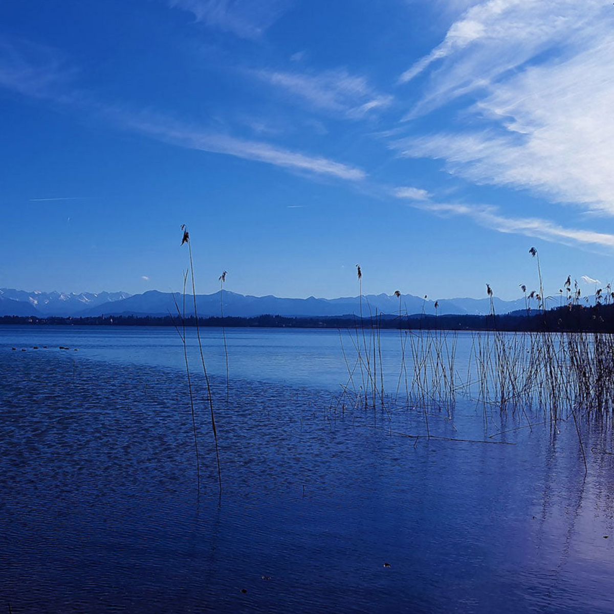 Wasser nachhaltig speichern