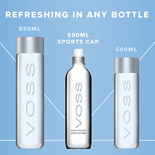 VOSS Premium Still Flaschenwasser 500ml (Paket von 24)