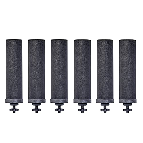 Berkey Authentic Black Berkey Elements - Berkey Wassersystem Ersatzfilter (Paket von 6)