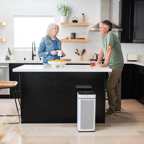 Medify MA-40 Luftreiniger mit echtem HEPA H13 Filter