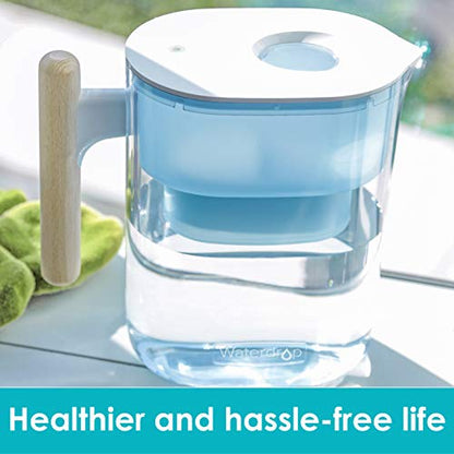 Waterdrop Chubby 10-Cup Wasserfilter-Pitcher mit 1 Filter