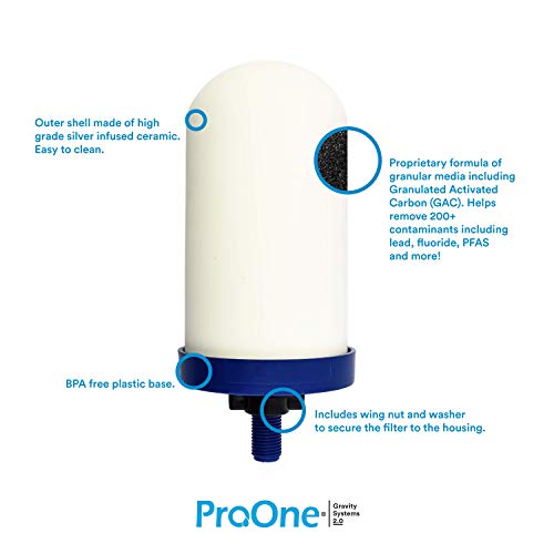 ProOne G2.0 7-Zoll-Wasser-Ersatzfilter