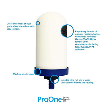 ProOne G2.0 7-Zoll-Wasser-Ersatzfilter
