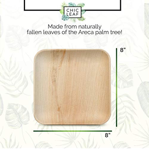 Chic Leaf Palm Leaf - Bambus Einweg-Platten aus 8 Zoll Quadrat (50 Pc)
