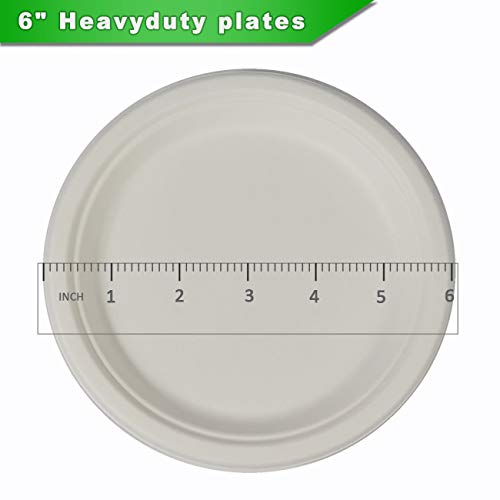 CantaGreen 6-Zoll-Kompostierbare Dessertplatten - 100 Count