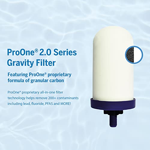 ProOne Wasserfilter-Pitcher mit Frucht-Infuser, gefilterter Wasser-Pitcher für Küche, Büro, Camping oder RVing