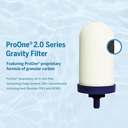 ProOne Wasserfilter-Pitcher mit Frucht-Infuser, gefilterter Wasser-Pitcher für Küche, Büro, Camping oder RVing