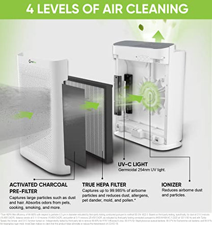 InvisiClean Aura II Luftreiniger für Hausallergien & Haustiere