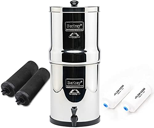 Berkey Royal mit 2 Schwarzfiltern und 2 PF-2-Fluoridfiltern, 3,25 Gal-Silber
