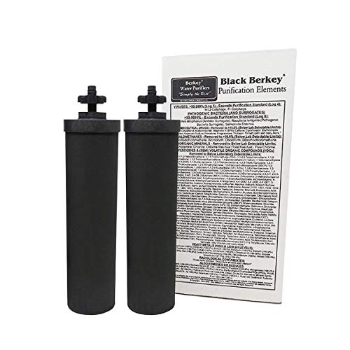 Berkey Authentic Black Berkey Purification Elements - Berkey Wasserreiniger Ersatzfilter (Paket von 2)