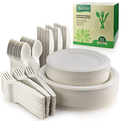250 Stück biologisch abbaubares Papierplattenset