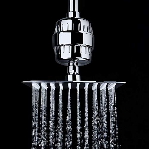 AquaBliss High Output Revitalisierender Duschfilter