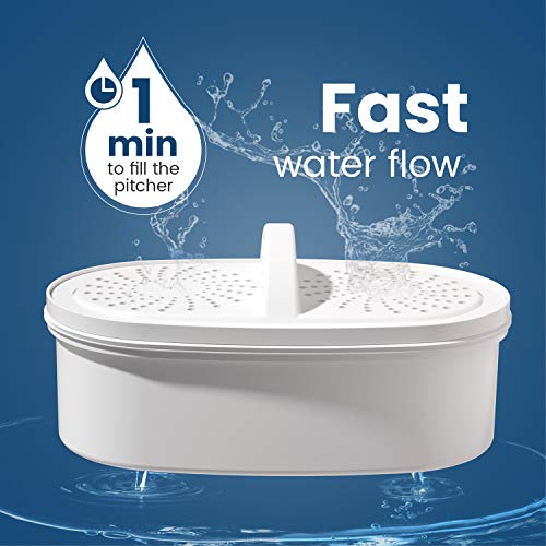 Waterdrop Lucid 10-Cup NSF zertifizierter Wasserfilter-Pitcher