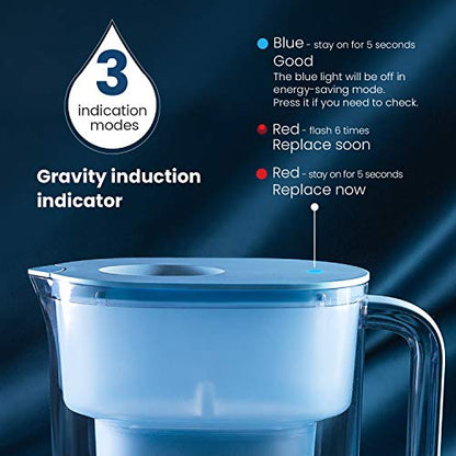 Waterdrop Lucid 10-Cup NSF zertifizierter Wasserfilter-Pitcher