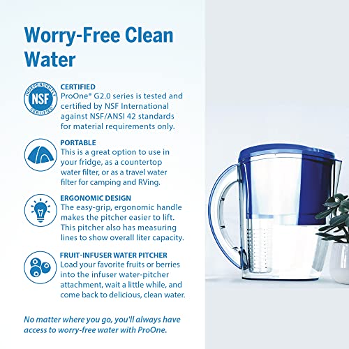 ProOne Wasserfilter-Pitcher mit Frucht-Infuser, gefilterter Wasser-Pitcher für Küche, Büro, Camping oder RVing