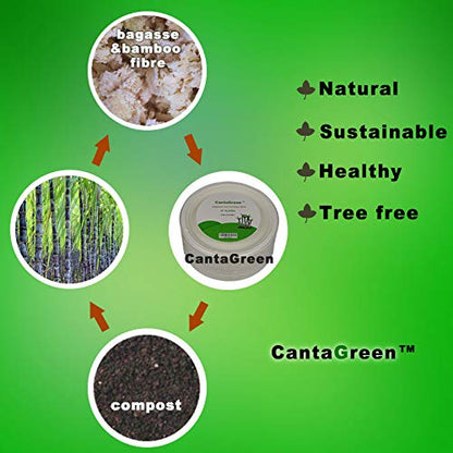CantaGreen 6-Zoll-Kompostierbare Dessertplatten - 100 Count