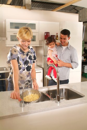 InSinkErator F-HC1100C 719537 Zeitgenössischer Instant Hot & Cold Water Dispenser, One Size, Chrome