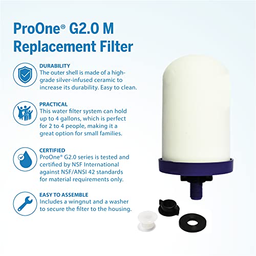 ProOne G2.0 M Ersatzwasserfilter für Frucht-Infuser-Wasser-Pitcher