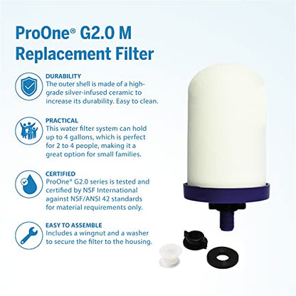 ProOne G2.0 M Ersatzwasserfilter für Frucht-Infuser-Wasser-Pitcher