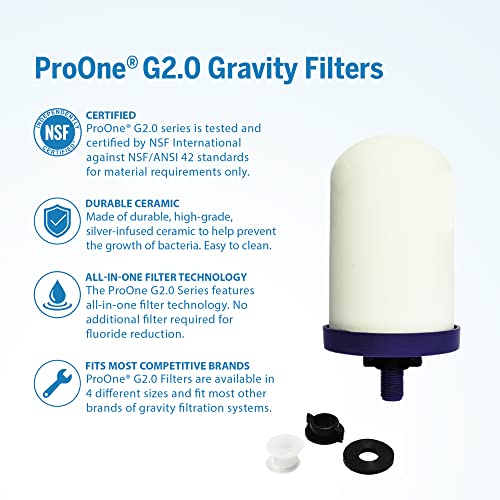 ProOne Wasserfilter-Pitcher mit Frucht-Infuser, gefilterter Wasser-Pitcher für Küche, Büro, Camping oder RVing