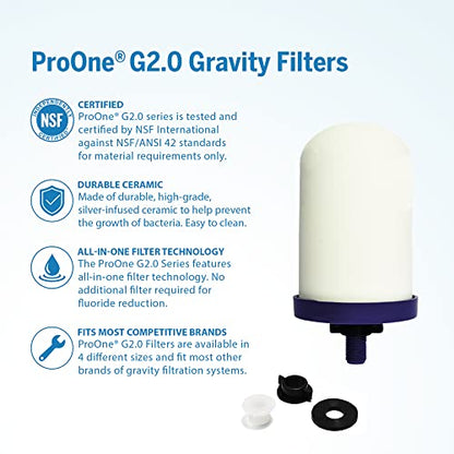 ProOne Wasserfilter-Pitcher mit Frucht-Infuser, gefilterter Wasser-Pitcher für Küche, Büro, Camping oder RVing