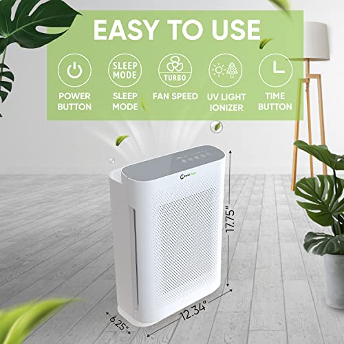 InvisiClean Aura II Luftreiniger für Hausallergien & Haustiere