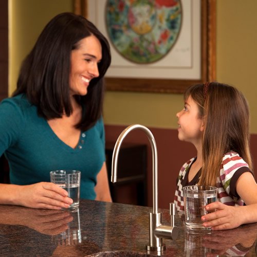 WaterChef® U9000 Premium Unterspülwasser-Filtrationssystem (gebürsteter Nickelhahn)