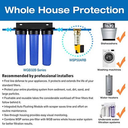 iSpring Whole House Wasserfilter