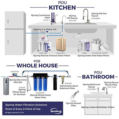 iSpring Whole House Wasserfilter