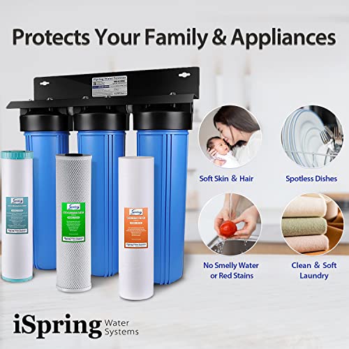 iSpring Whole House Wasserfilter