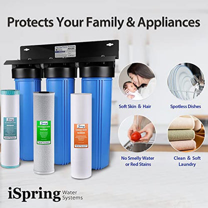 iSpring Whole House Wasserfilter
