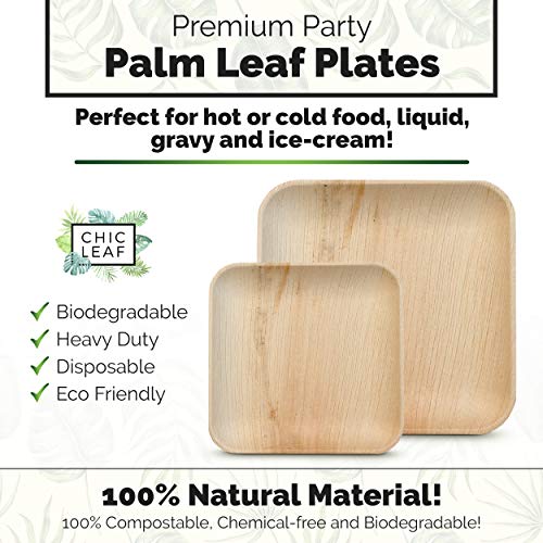 Chic Leaf Palm Leaf - Bambus Einweg-Platten aus 8 Zoll Quadrat (50 Pc)