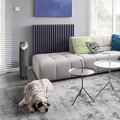 Germ Guardian AC5250PT 28 '3-in-1 True HEPA Filter Luftreiniger für Haus und Haustiere, Große Räume, UV-C Sanitizer, Filter Allergien, Rauch, Staub, Dander, & Gerüche, 5-Yr Wty, GermGuardian, Grau'
