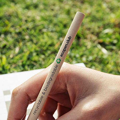 Eco Pen Club (10 Pack) (BLACK INK) Umweltfreundlicher recycelter Ball Point 0,7mm Pens