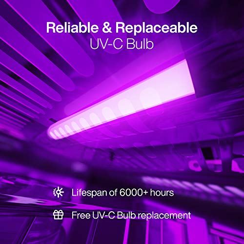 UV Light Sanitizer | UV Sterilizer Box