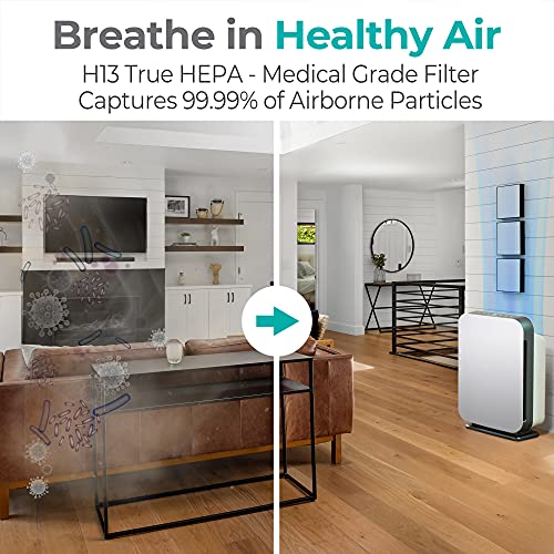 Alen BreatheSmart 75i Großraumluftreiniger