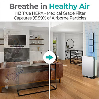 Alen BreatheSmart 75i Großraumluftreiniger