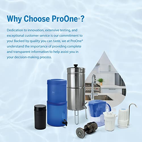 ProOne G2.0 M Ersatzwasserfilter für Frucht-Infuser-Wasser-Pitcher