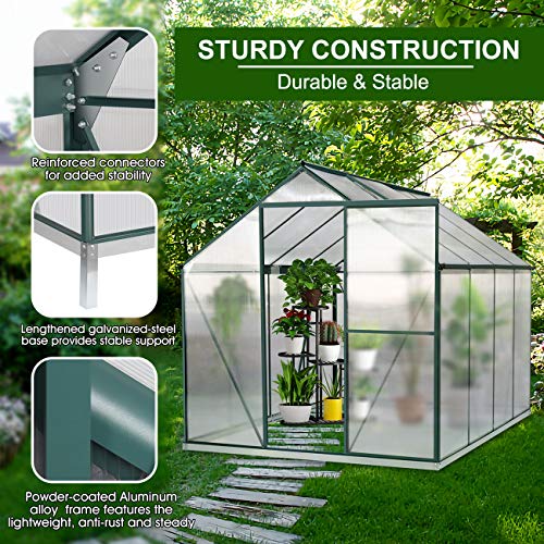 Juli Song Greenhouse, 6'x8'