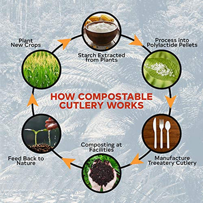 Baumpflege kompostierbares Besteck-Set - 380 Value Pack [180 Gabeln, 100 Löffel, 100 Messer] - Pflanzen Sie einen Baum mit jeder Box - Eco Friendly Compostable Utensils-BPI Certified Plant-Based Einweg-Silberwaren