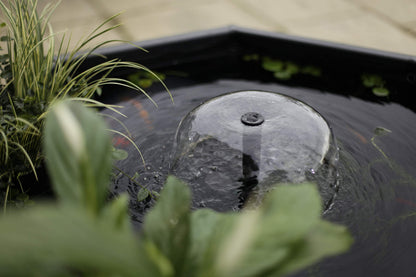 Pennington Aquagarden, Komplettes Angehobenes Fensterteich-Kit
