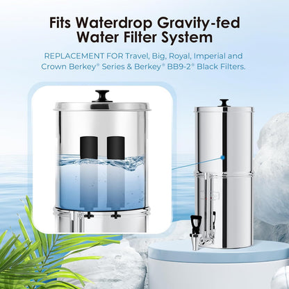 Waterdrop NSF/ANSI 42&372 Zertifizierter Wasserfilter, Ersatz für Berkey® BB9-2®, ProOne® oder Alexapure® und Waterdrop King Tank Series, (Paket von 2)