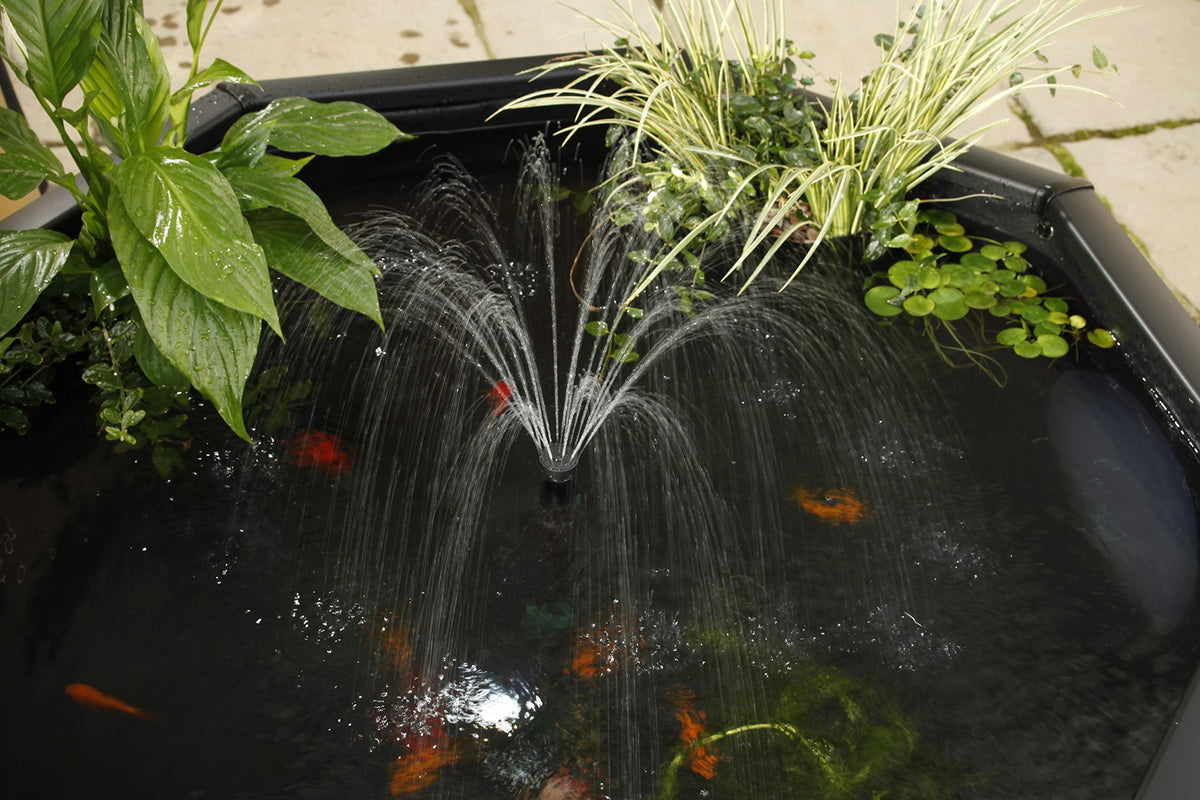 Pennington Aquagarden, Komplettes Angehobenes Fensterteich-Kit