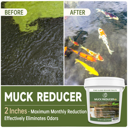 LMJP Muck Reducer - 2,27 kg Natural Muck und Schlammentferner Tabletten für Teiche und Seen