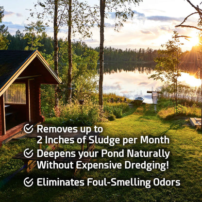 Cabin Obsession - Pond Sludge Remover Ubersetzungen